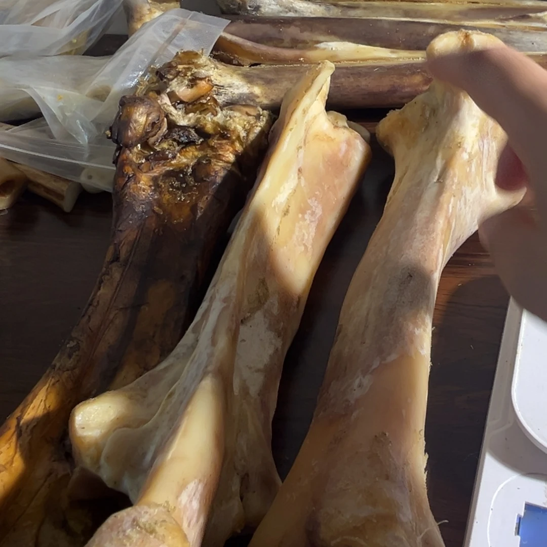 8***生hhhu大腿骨大腿骨大腿骨大腿骨大腿骨