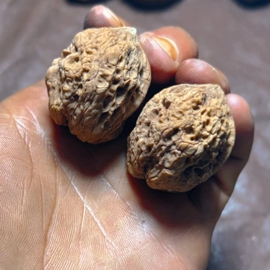 文玩核桃把件卡36古陀蟾40号