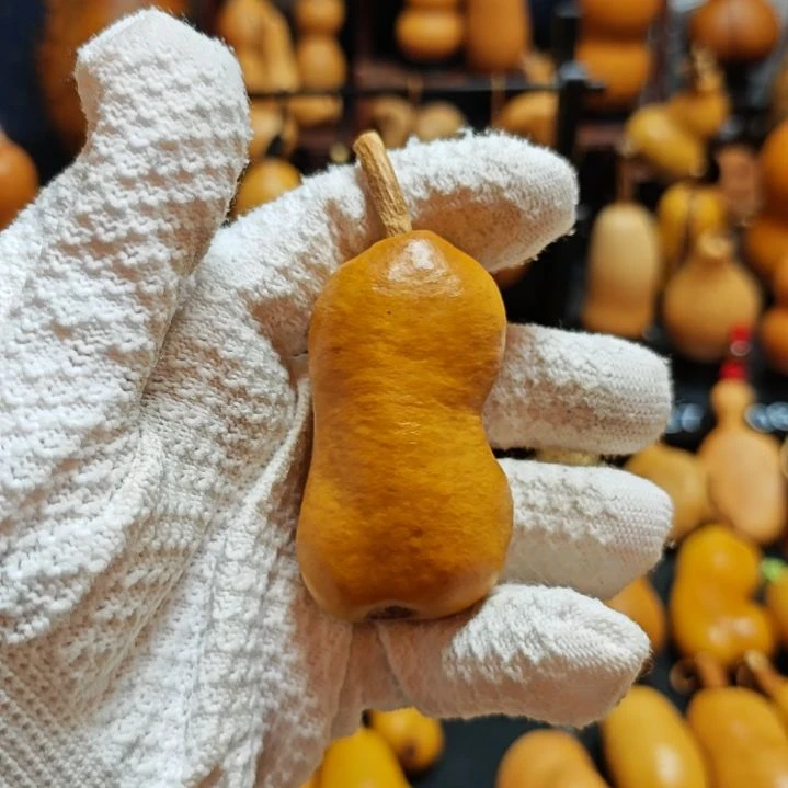 有***白直播间链接葫芦葫芦