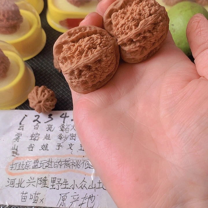 吊坠文玩核桃40尺蚂蚁沟