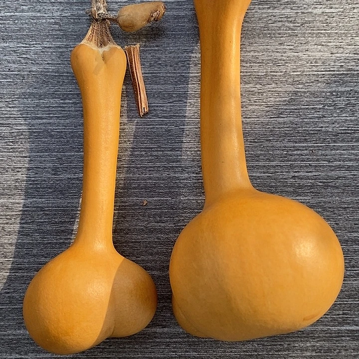 ****洺999葫芦11111111111111111