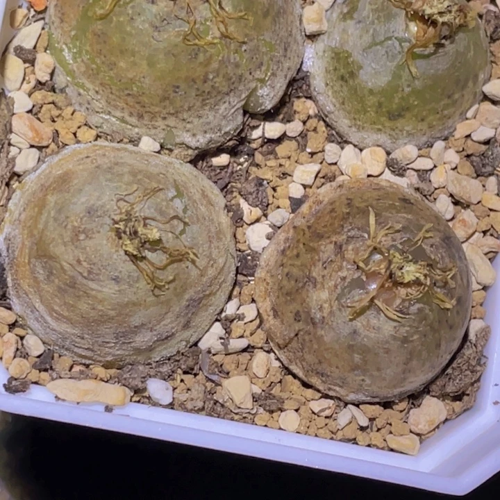 1889998998898998998888