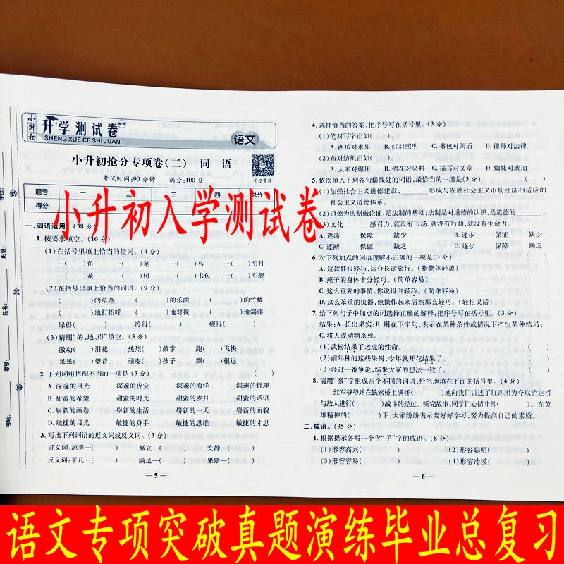 小升初入学测试卷全套 必刷题语文总复习人教版 六年级下册试卷