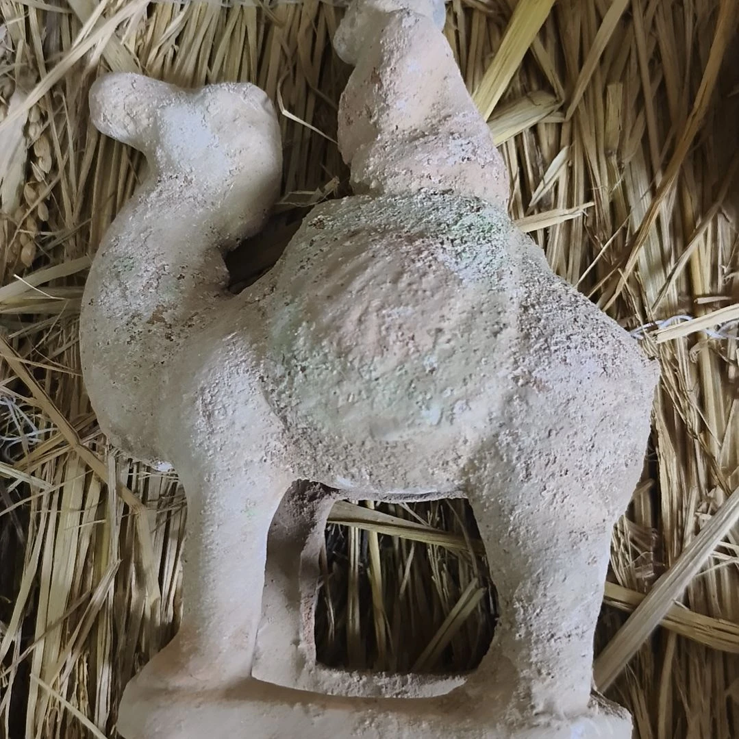 闪购炸福利三彩小马