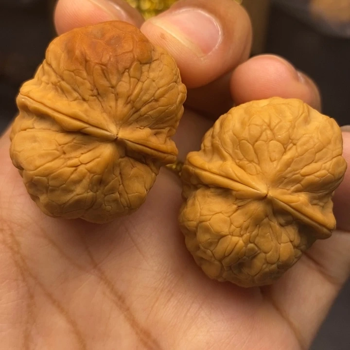 文玩核桃把件36尺方尊金蟾