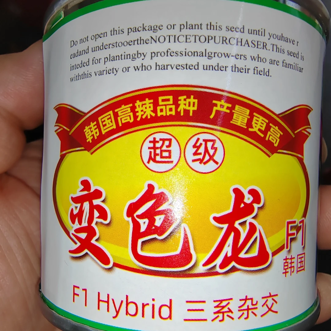 变色龙韩国三系杂交超级鲜三英