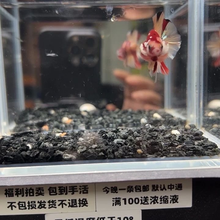斗鱼跑单拉黑13日80