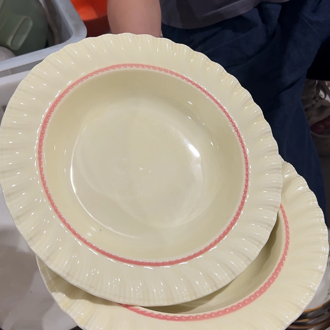 瓷片红边8寸草帽盘两个