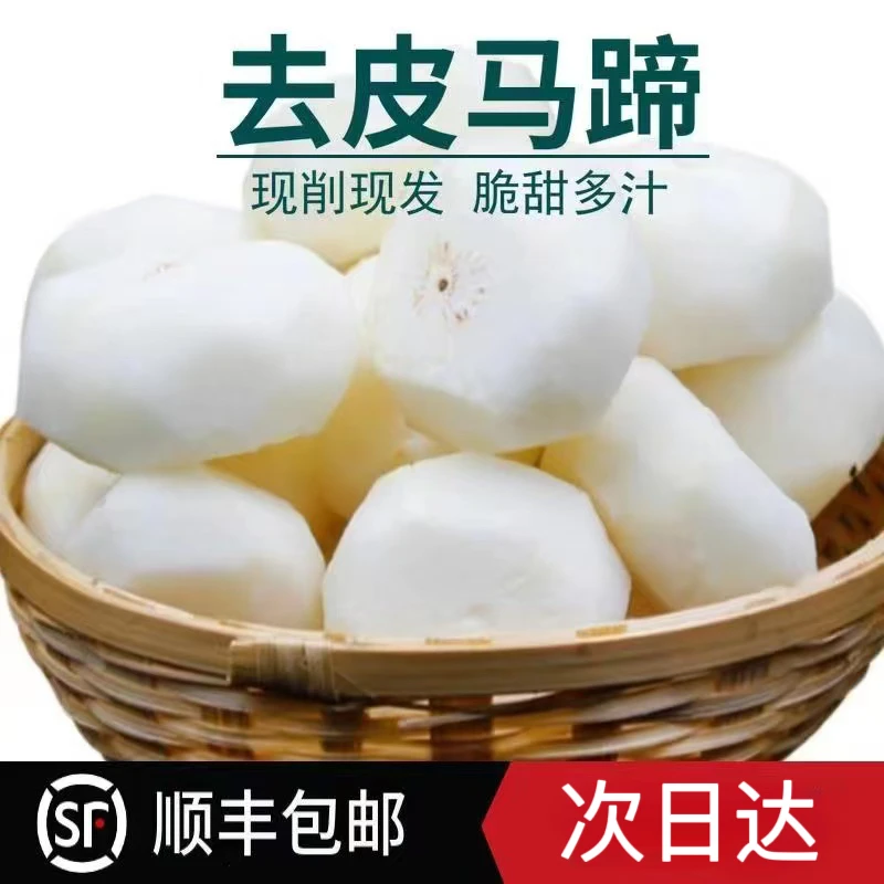 【次日达直播专享】现削现发新鲜去皮马蹄荸荠真空包装清甜多汁一斤一袋马蹄荸荠