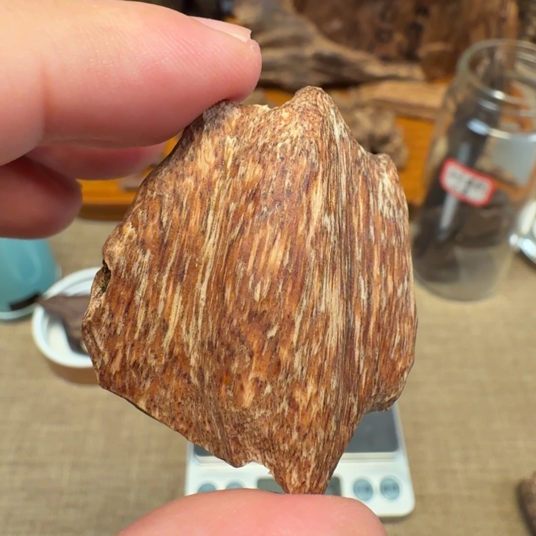 沉香香港南丫岛瓜子