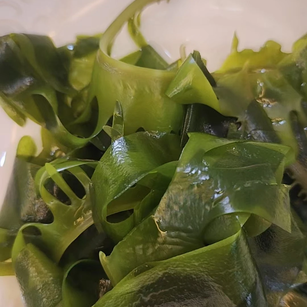 源源鲜-大连本地正宗少盐盐渍裙带菜 口感细腻鲜嫩可凉拌火锅煲汤