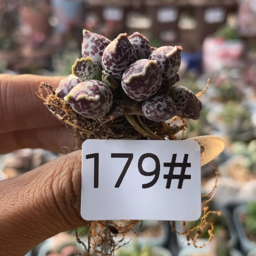 179。