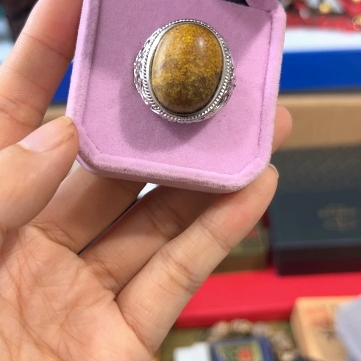 茶宠阿哈哈哈哈哈哈哈