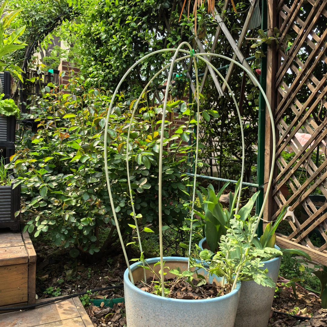 园艺小拱棚支架蔬菜大棚花棚保温棚玻璃纤维杆弹力棒爬藤架