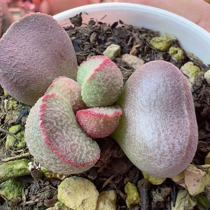 用****9有时间就给她发个短信哈