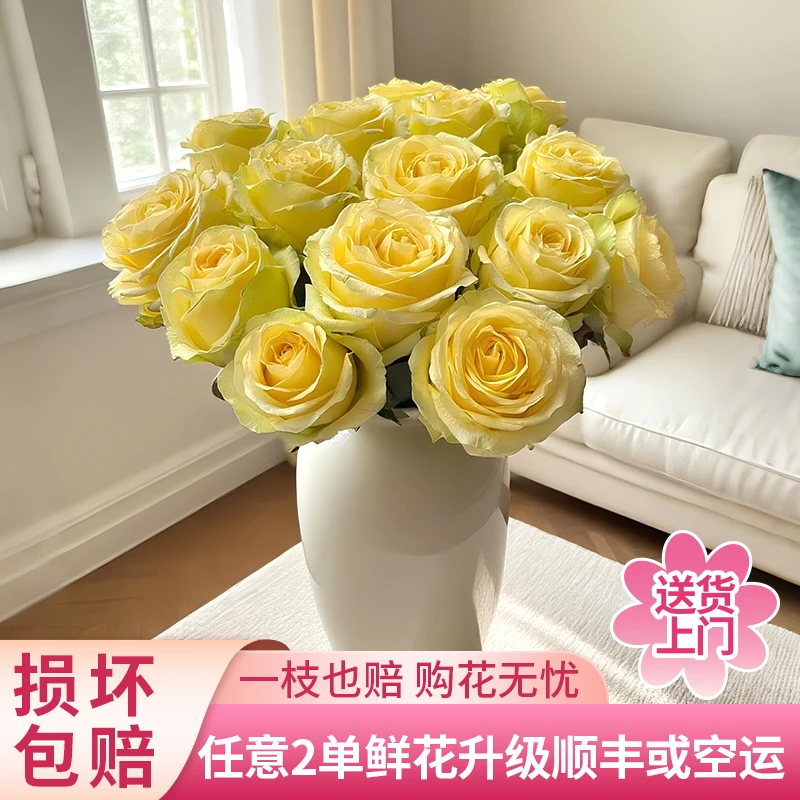 【黄梦宇】浪漫沙滩玫瑰花全场鲜花任意满两单及以上包邮送货上门