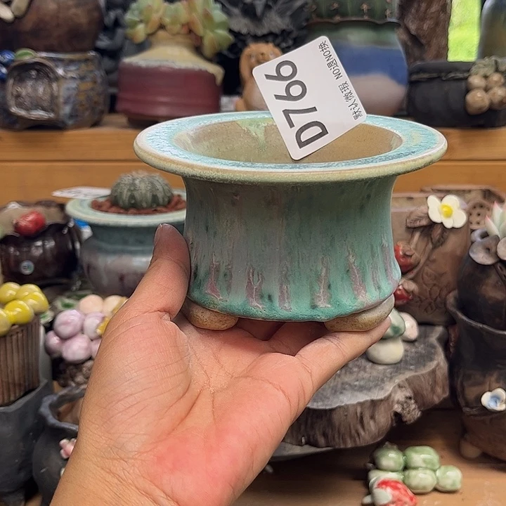 这个月我还没来得及去766