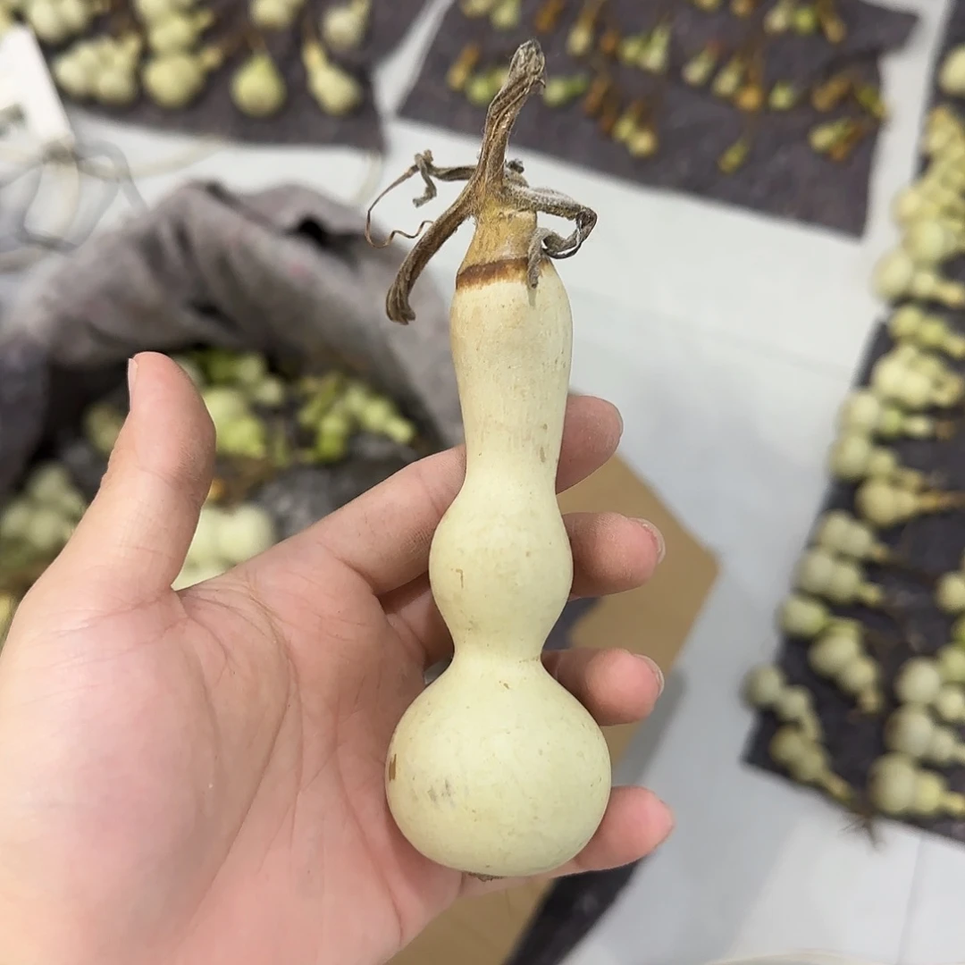 ****兮葫芦snsnsnsnssnsnsn