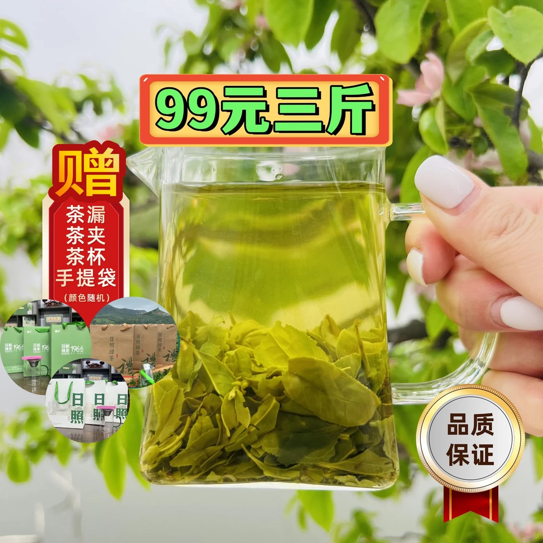 【日照绿茶大叶茶】日照绿茶板栗香味浓耐泡大叶茶手工茶香浓郁黄绿