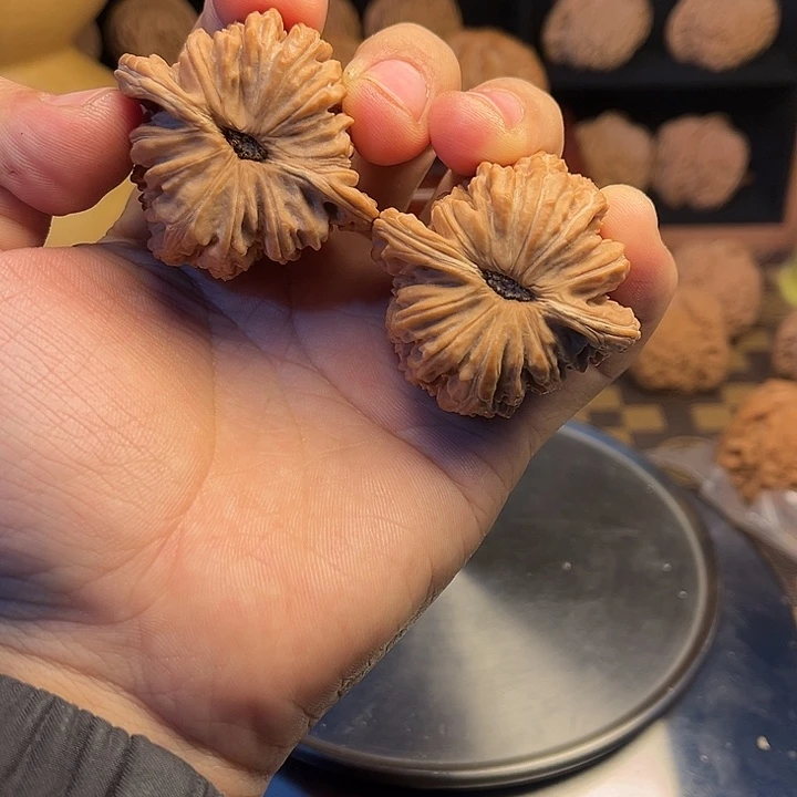 大叶紫檀（黑酸枝木类）