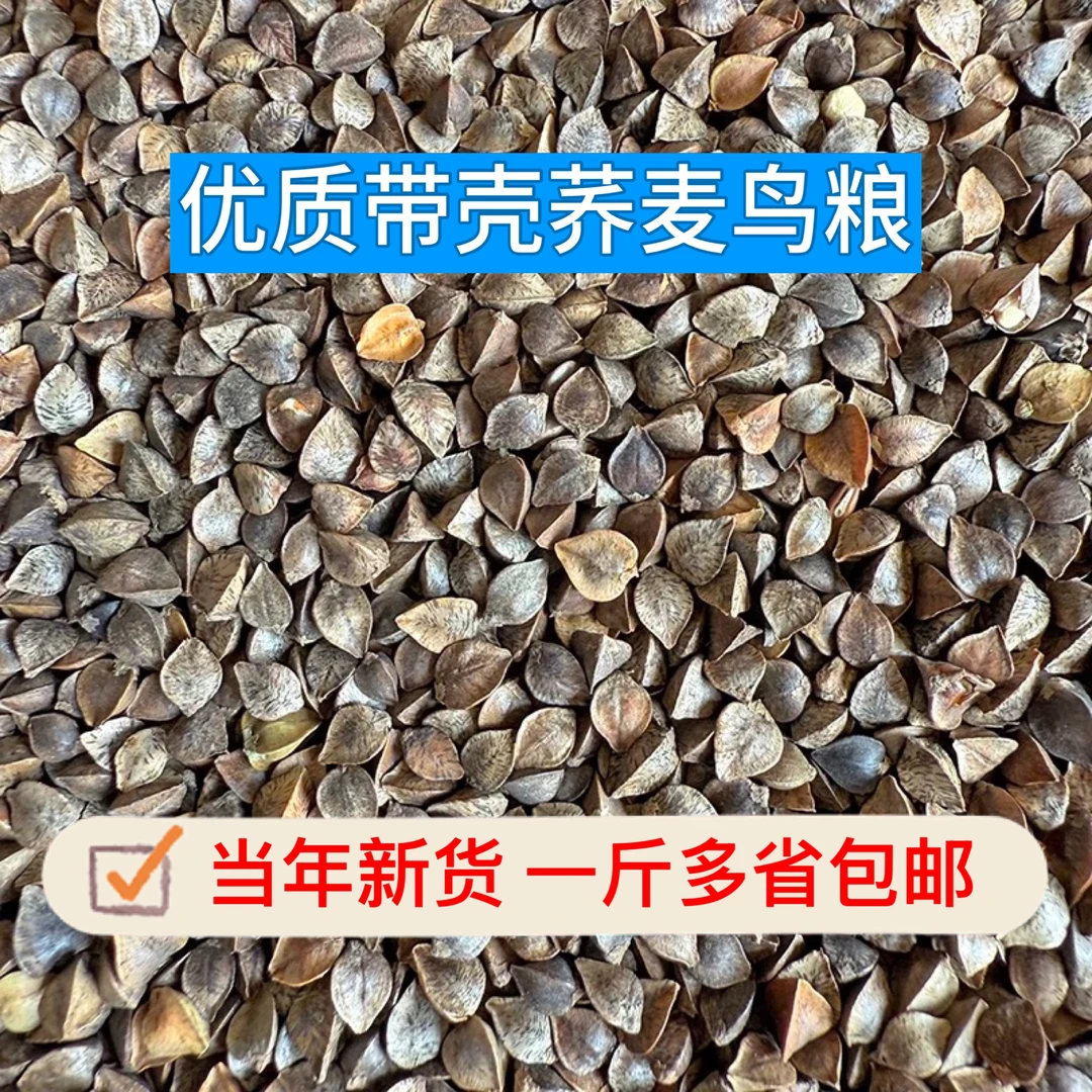 优质带壳荞麦鸟粮玄凤虎皮饲料仓鼠豚鼠龙猫鸽子鹦鹉宠物粮食鸟粮