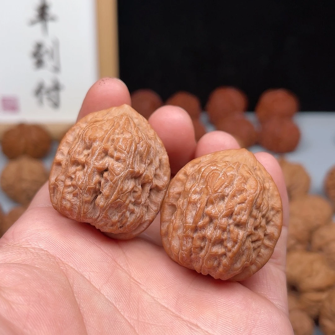 核桃野生原树金钱豹