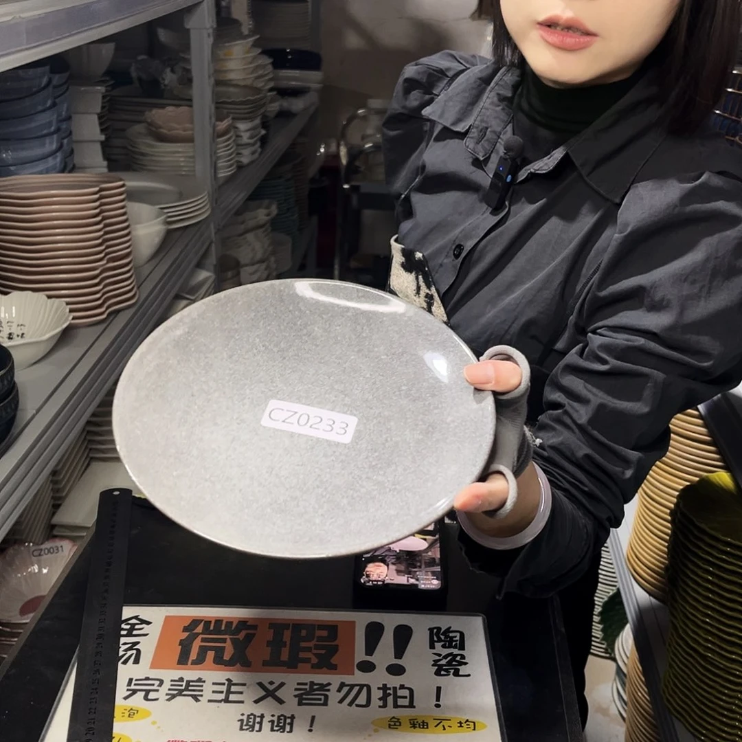 瓷片0233。          2个