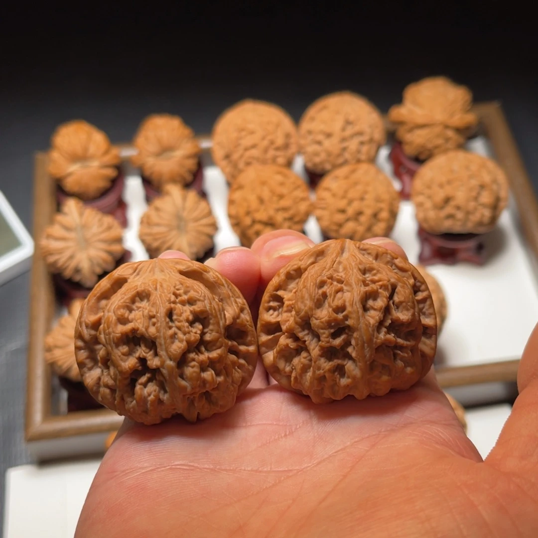 把件文玩核桃球形大粗筋核桃尺寸45