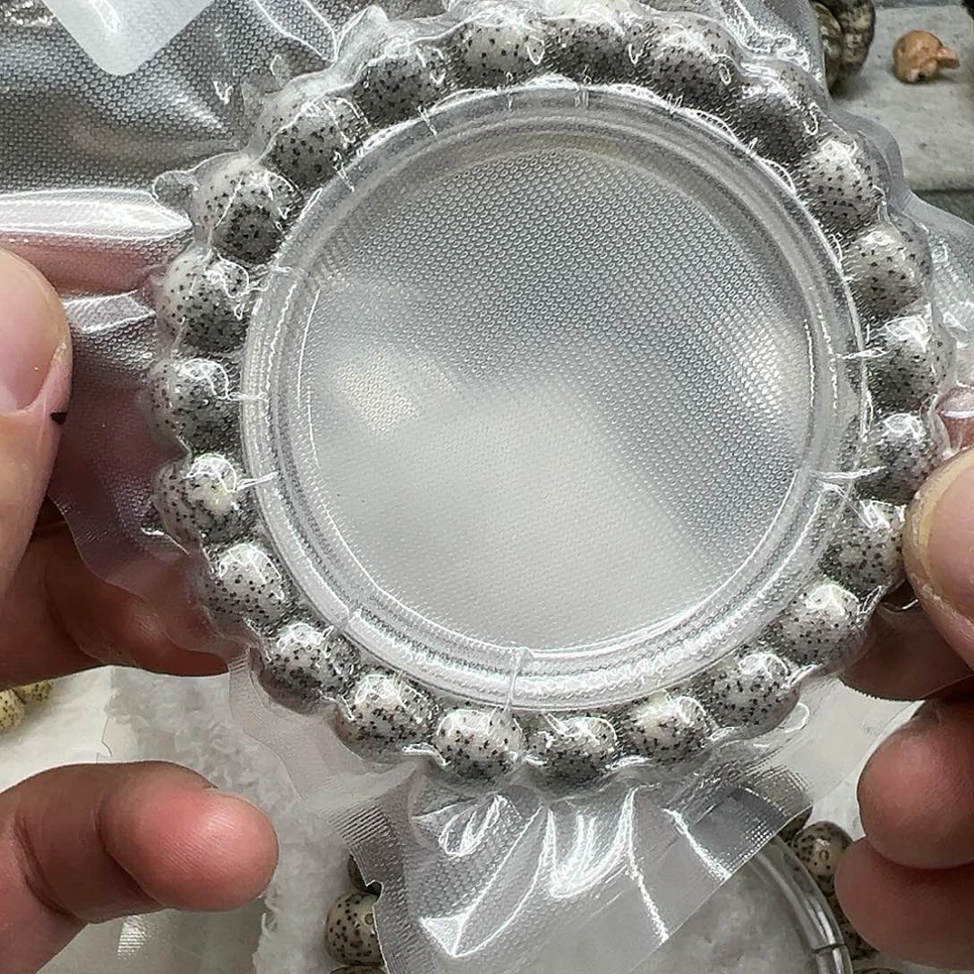 星月菩提手串82入门灰星月菩提单圈1.0