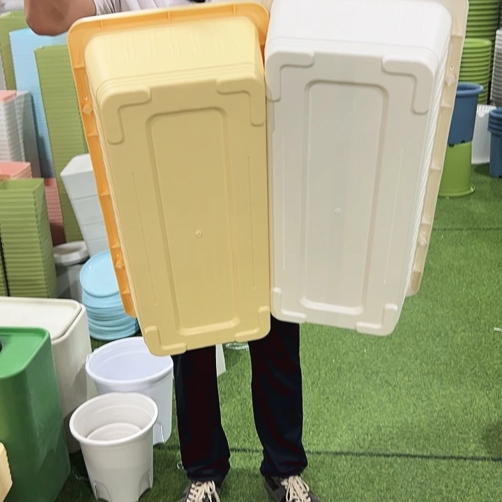 大菜盆长68宽34高18.5混色2个