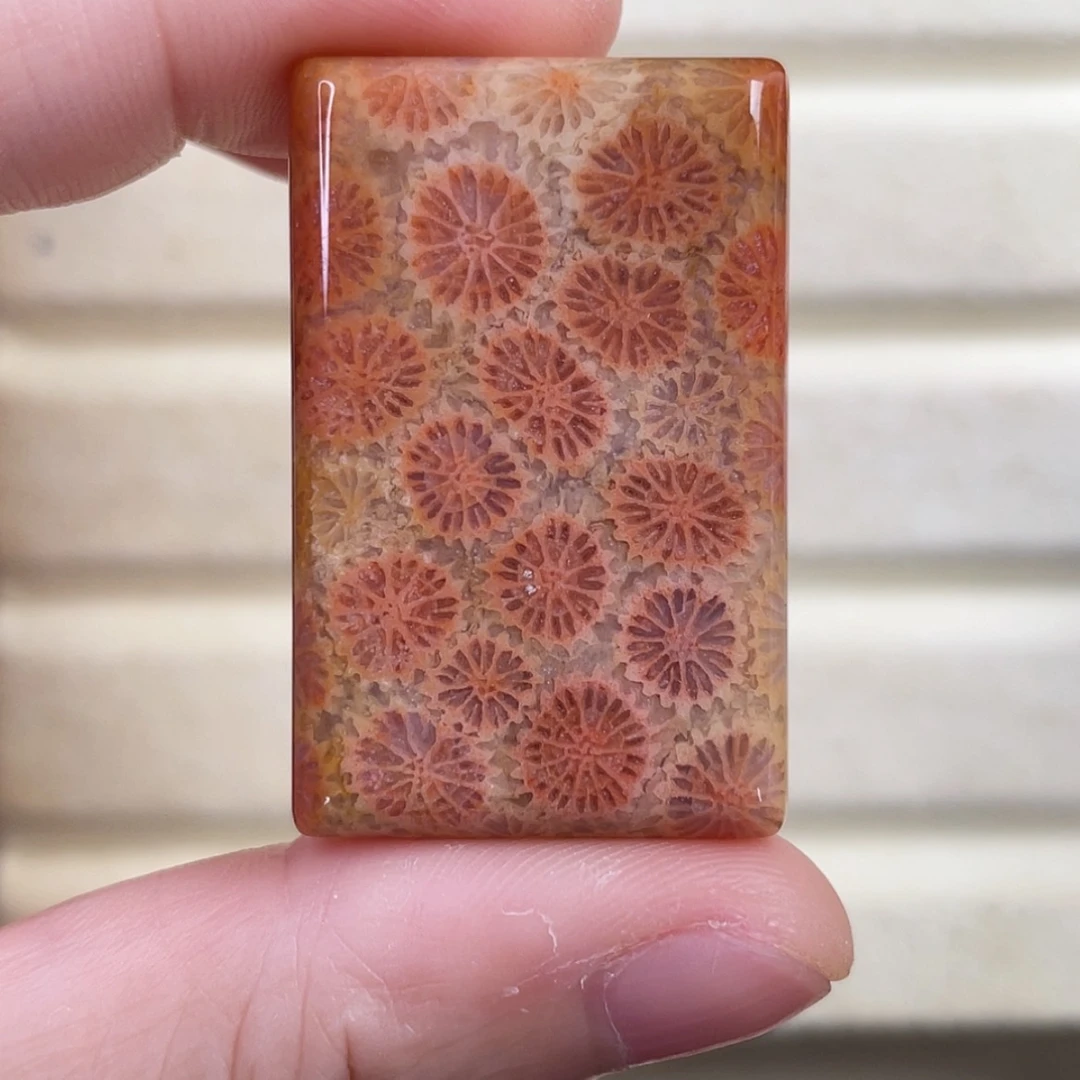 【闪购商品】硅化玉吊坠(赠链)未镶嵌