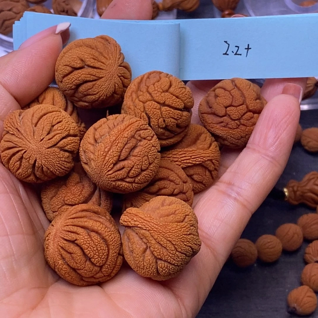 秦岭龙纹桃核13颗