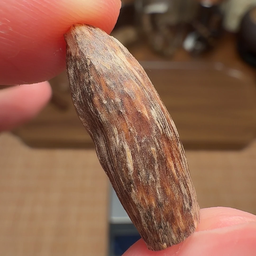 沉香香港大屿山棋韵瓜子