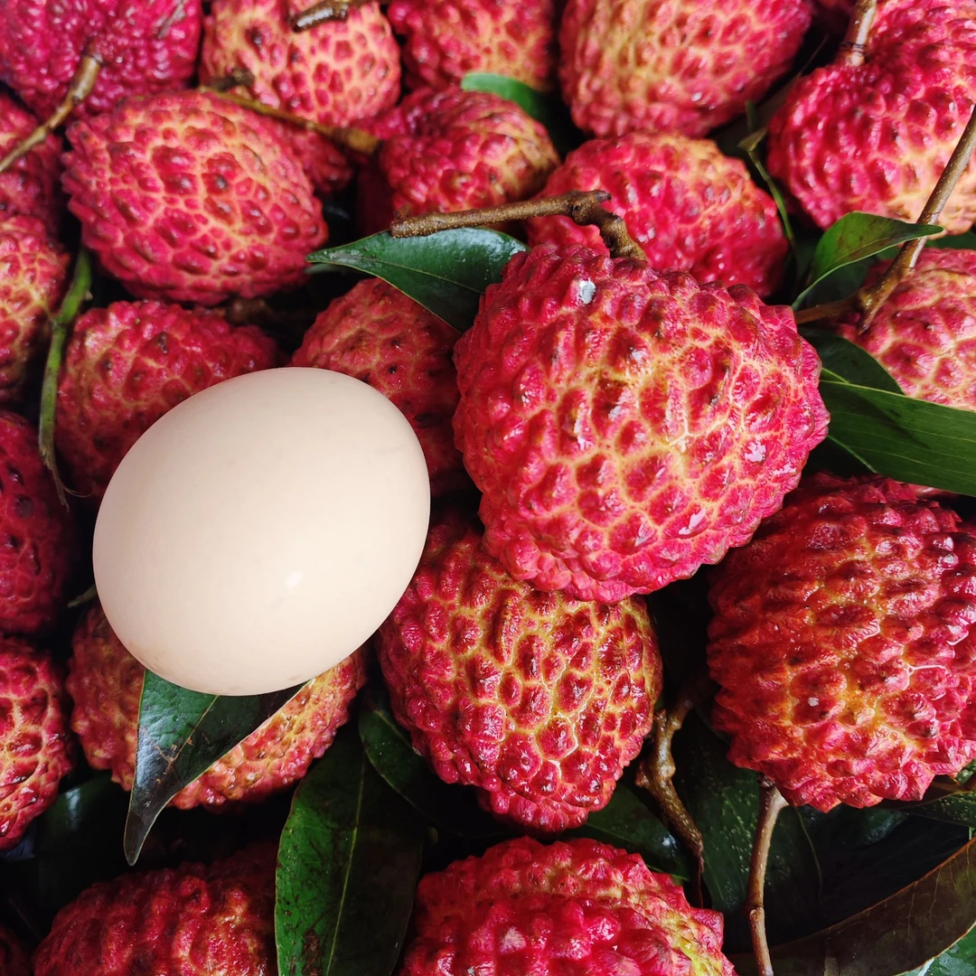 海南火山岩荔枝王 精品大果鲜荔枝 当季新鲜