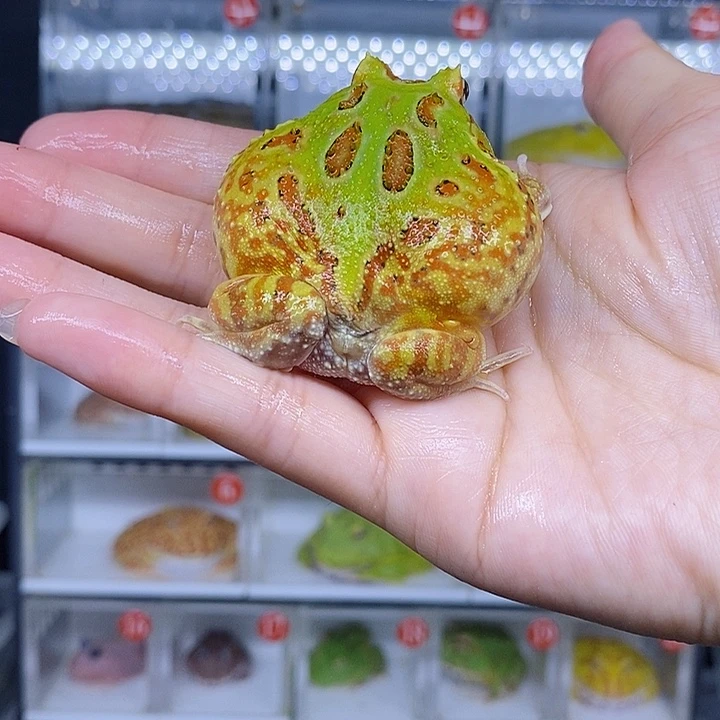 特价秒杀现货特价