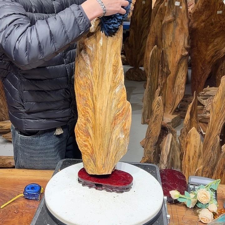 松木（琥珀木）云*扬