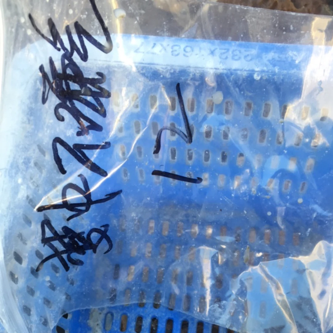 天然玛瑙原石板料定制专拍不退换