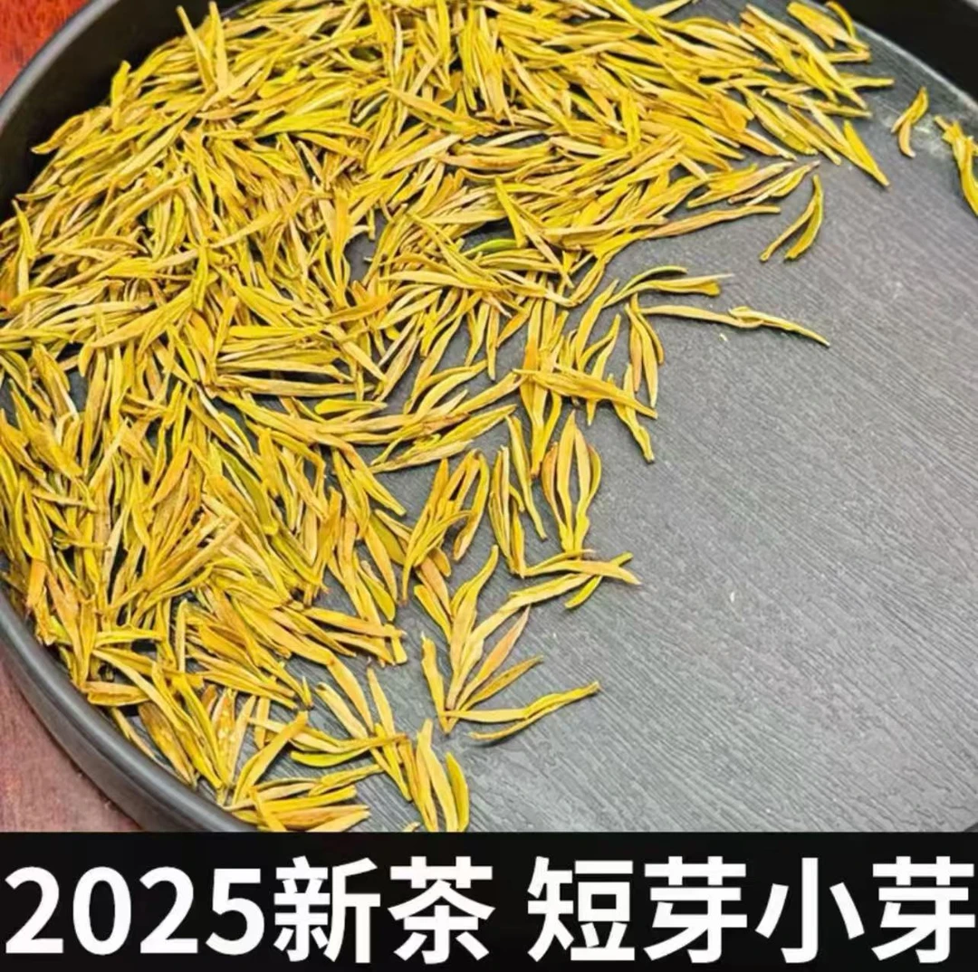 头采明前短芽黄金芽春茶绿茶
