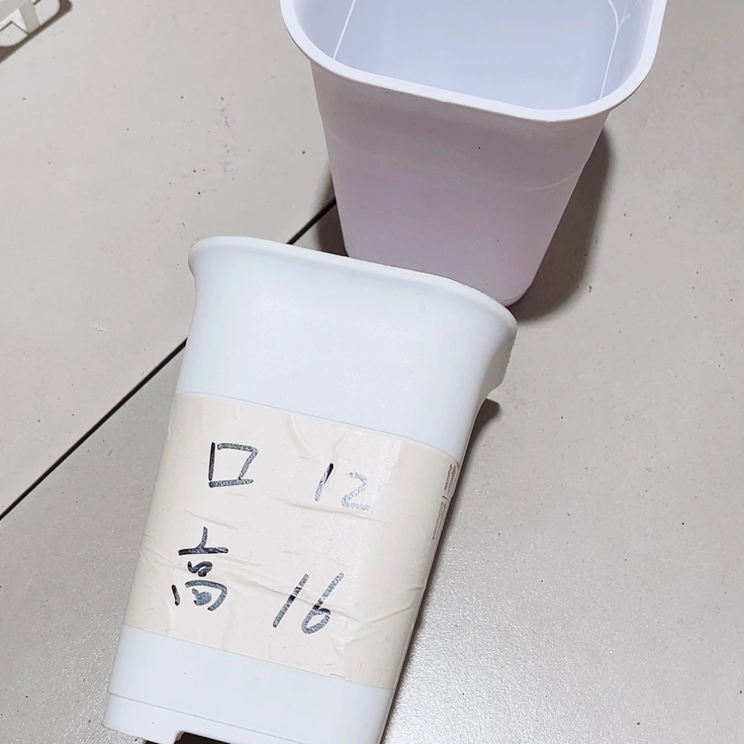 加厚万象口12高16白色10个无托