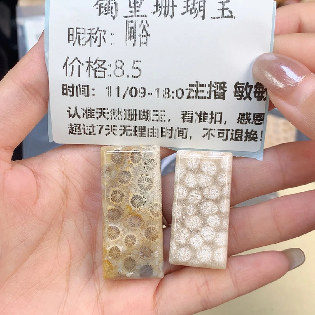 【闪购商品】颈饰未镶嵌硅化珊瑚（珊瑚玉）阿*