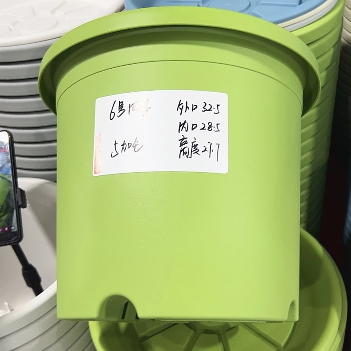 正品4号四季口25高21.5果绿无托7只
