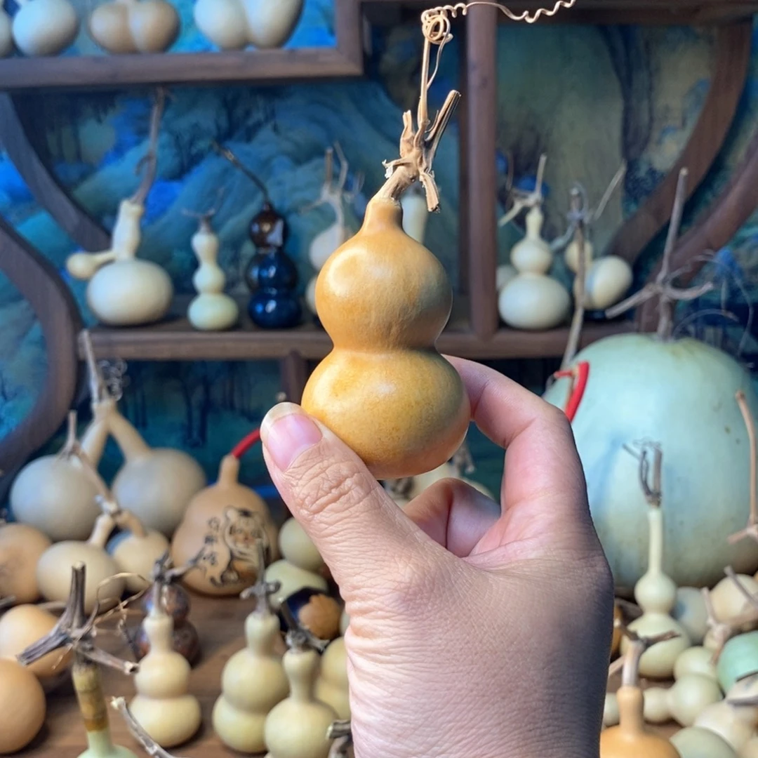 阳*阳葫芦葫芦葫芦葫芦