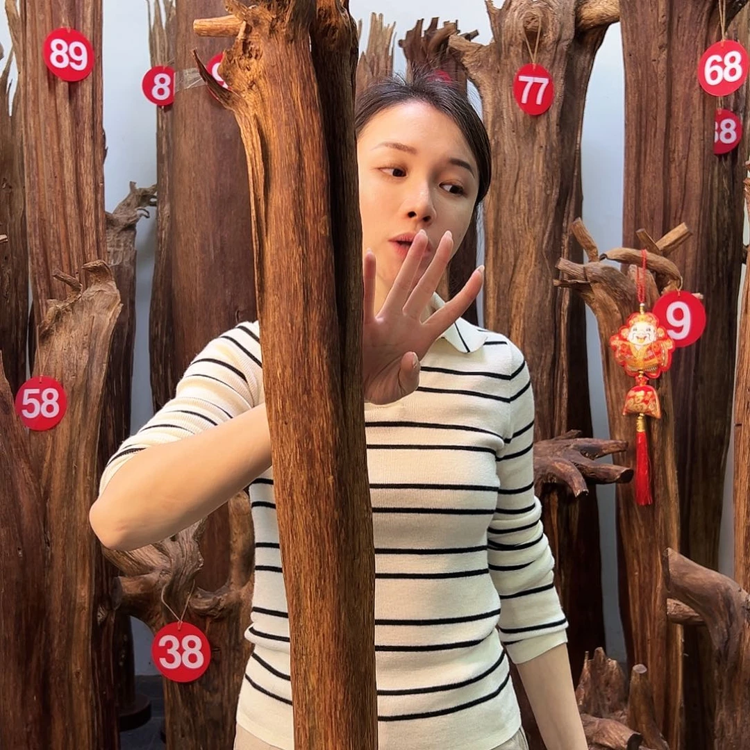 沉香摆件天然沉香原材料高品质