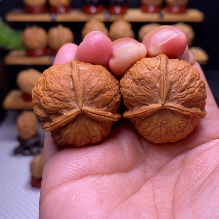 核桃柿子饼子三棱40号