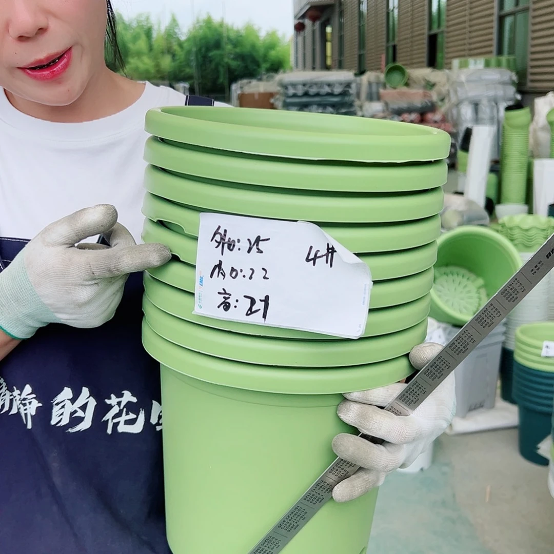 瑕疵四季盆4#果绿6个无托