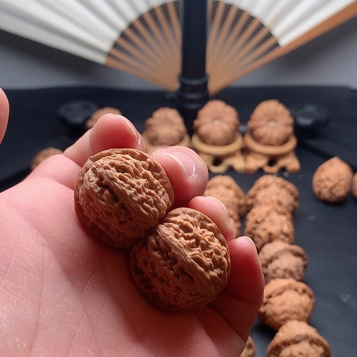 你*山地果白狮子尺寸30