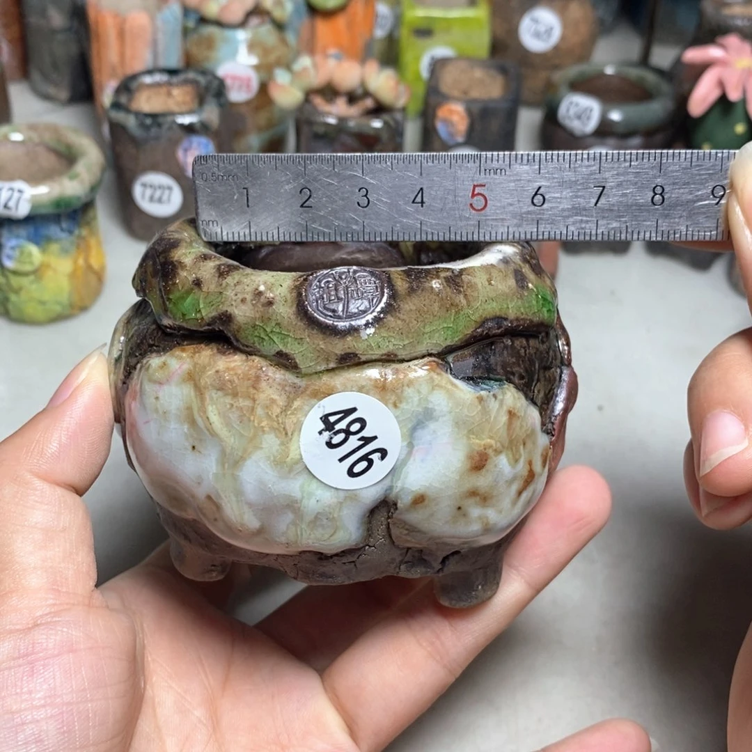 拍3送一个小礼物