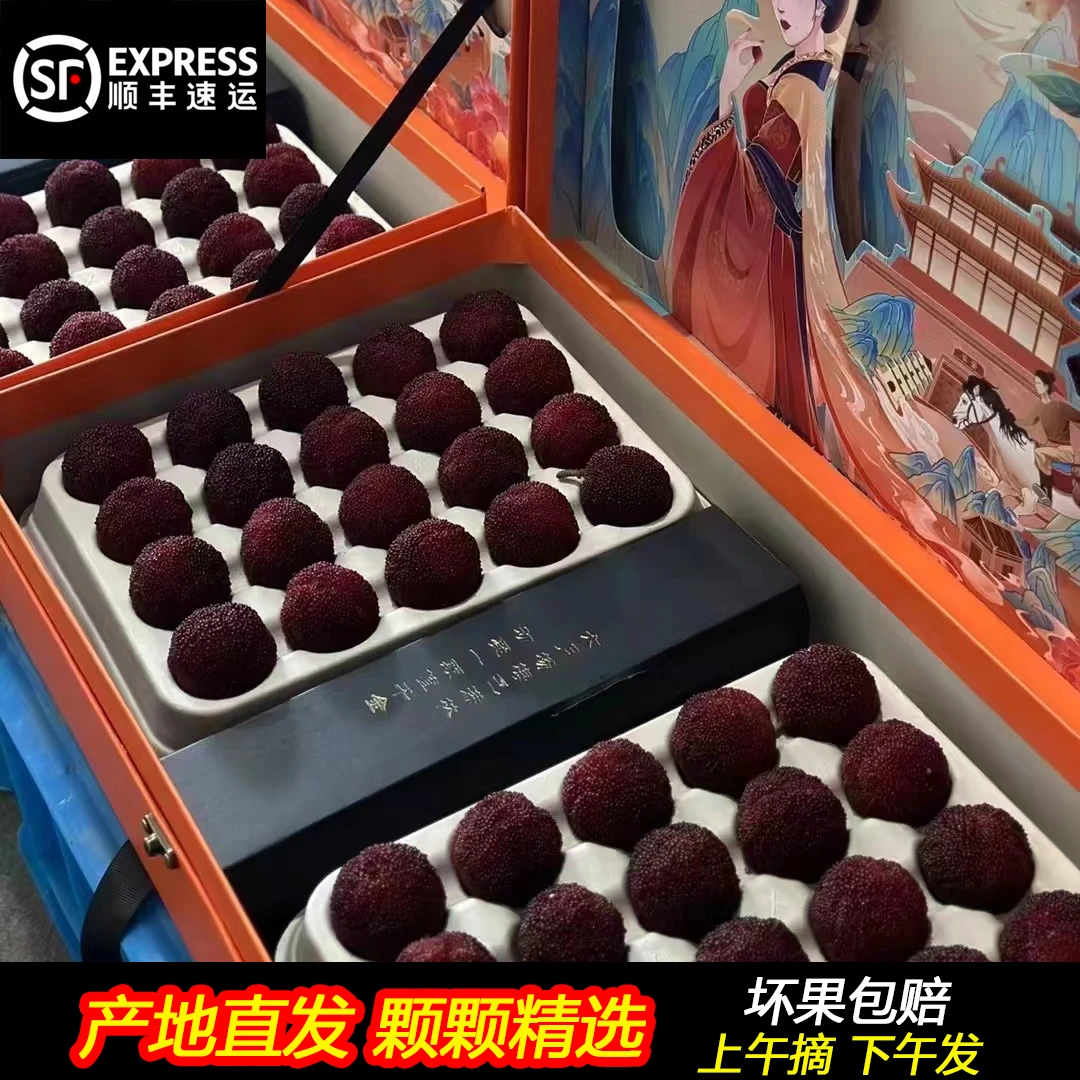 仙居杨梅【贡品级乒乓球大】正宗仙居东魁杨梅80颗高端礼盒装送人