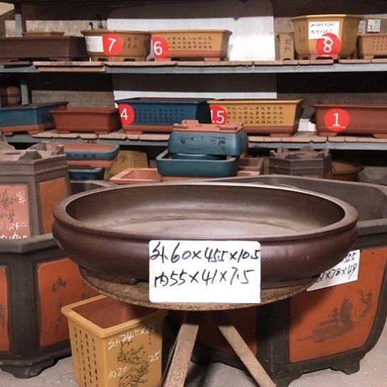 紫砂聂*生紫砂花盆包邮