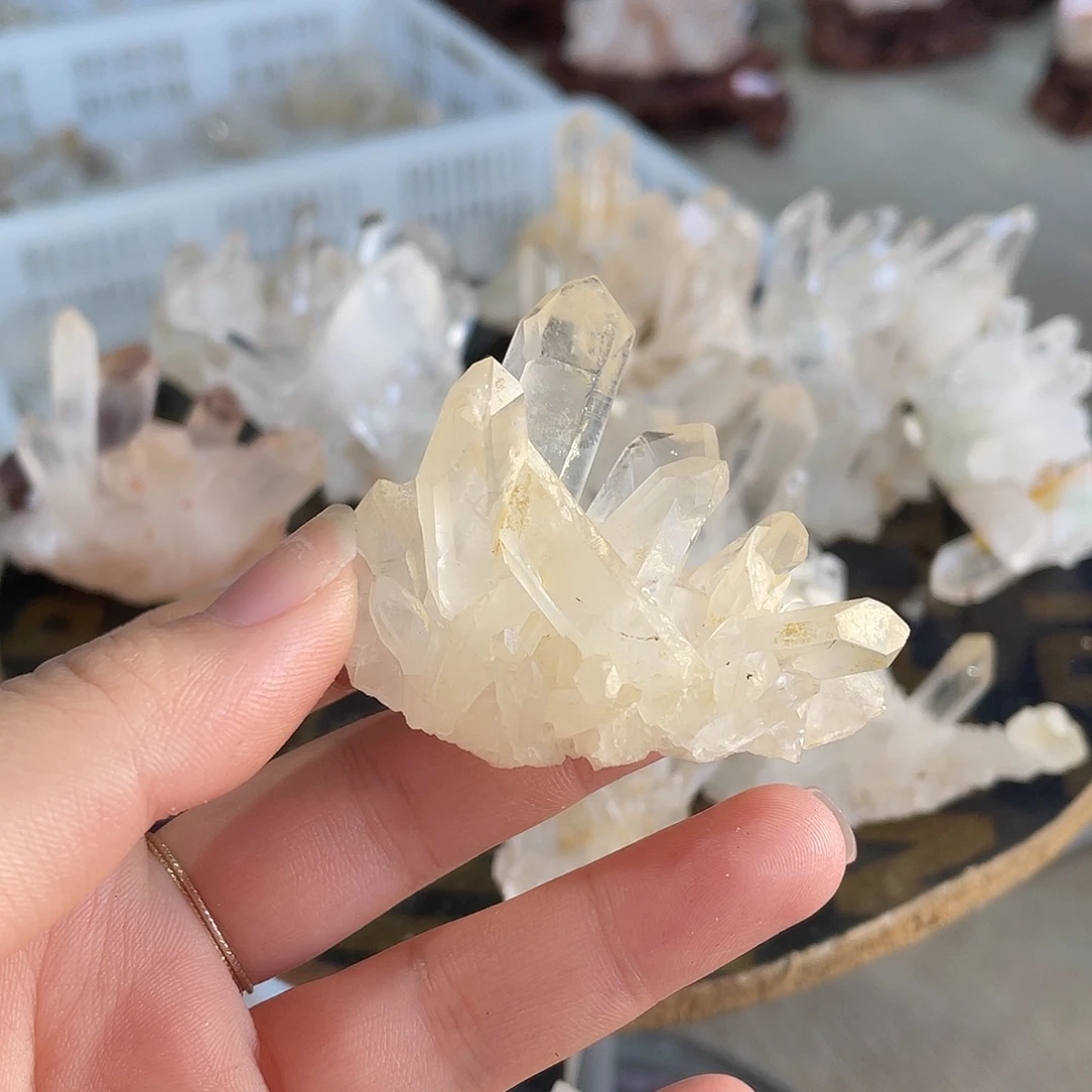 天***鸟银S925镶嵌水晶珠宝半成品